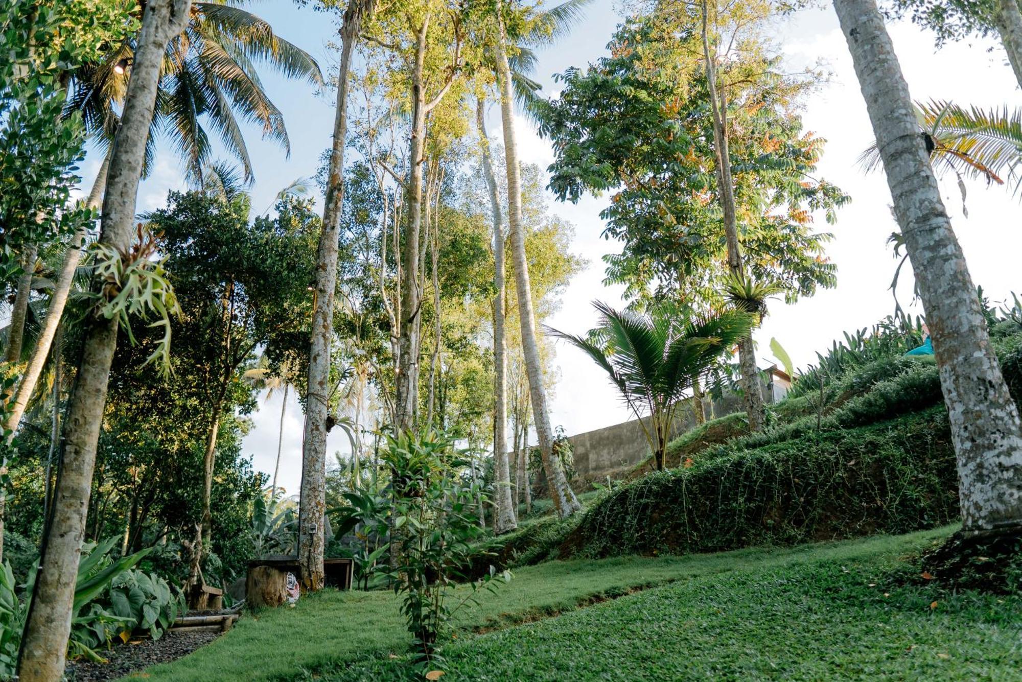 Bali Made Escape Hotel Gianyar  Bagian luar foto